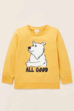 Boy Seed Heritage T-Shirts & Tops-Bear Sweat