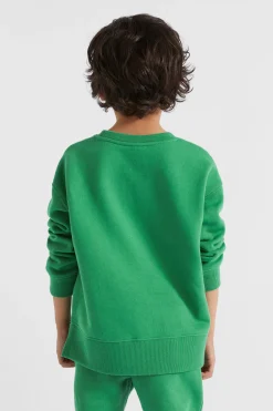 Boy Seed Heritage Knitwear & Sweaters-Core Logo Sweat