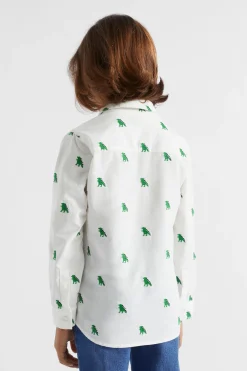 Boy Seed Heritage T-Shirts & Tops-Dino Shirt
